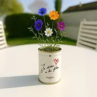 mes graines d'amour LELA